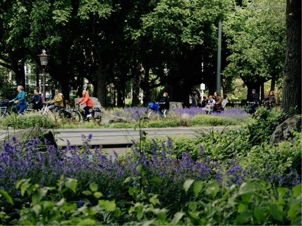 Personas pasean y van en bicicleta por un parque verde